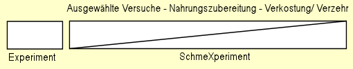 Bild: SchmeXperiment